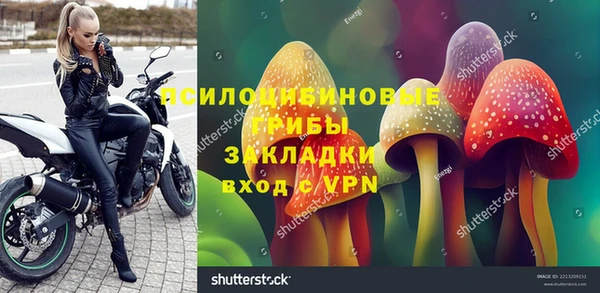 мяу мяу мука Кукмор