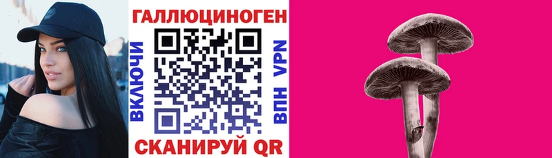 купить наркотик  Ржев  omg ONION  Псилоцибиновые грибы Cubensis 