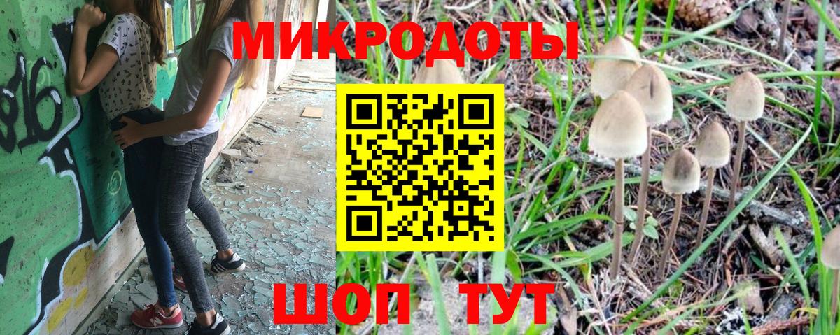 Псилоцибиновые грибы мицелий Ржев